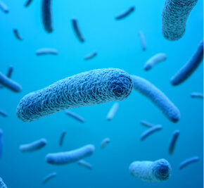 blurb image 3d illustration of bacteria