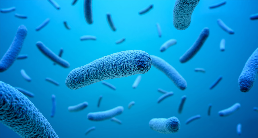 3d illustration of bacteria