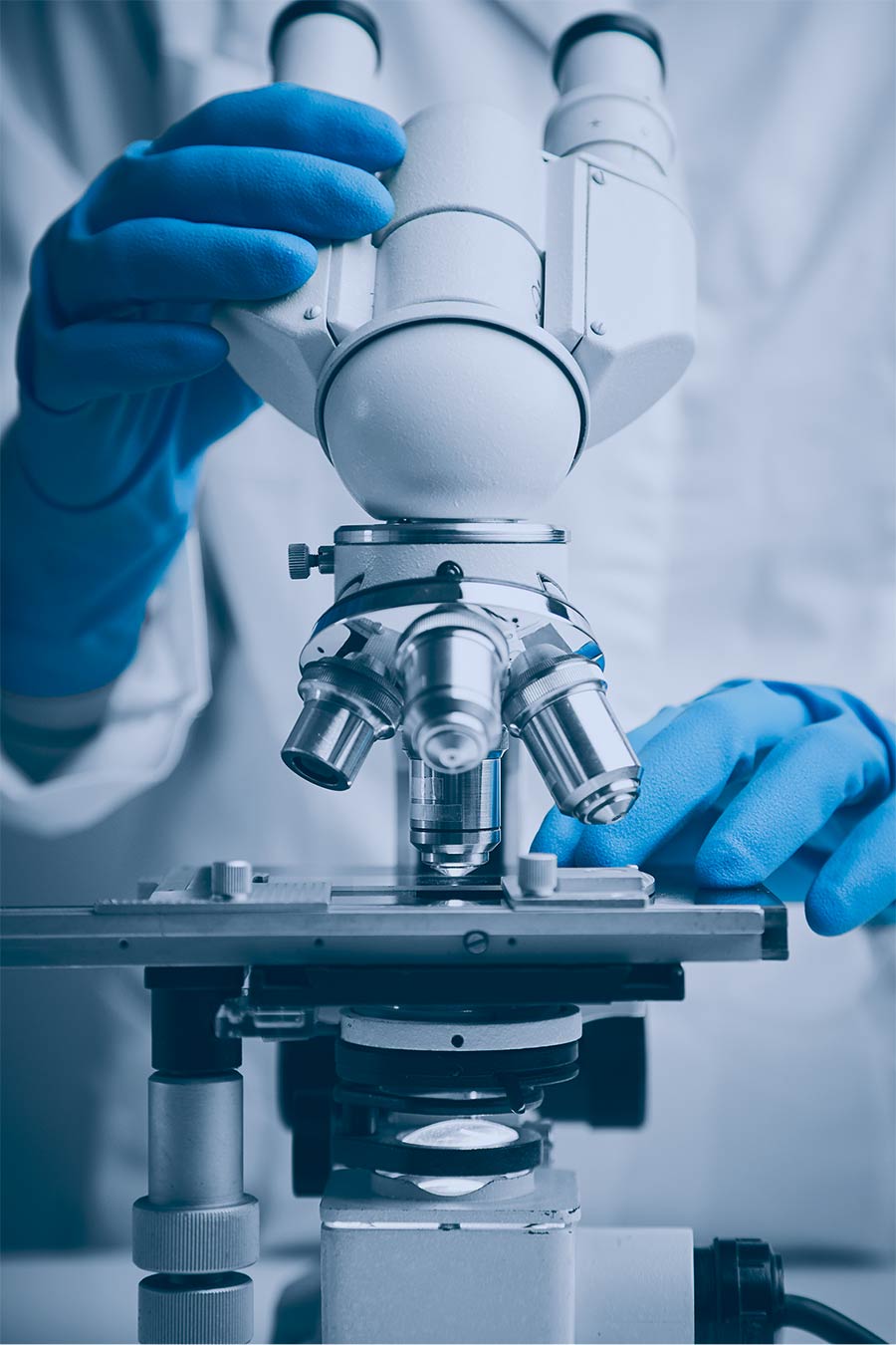 Testing Sample Under the microscope